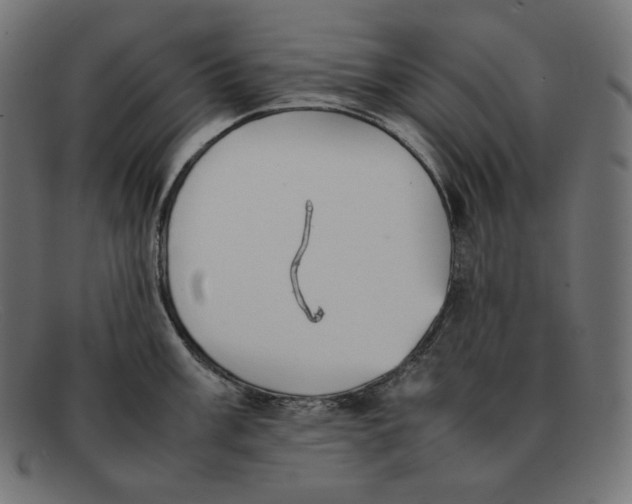 X0000092051003200710101012