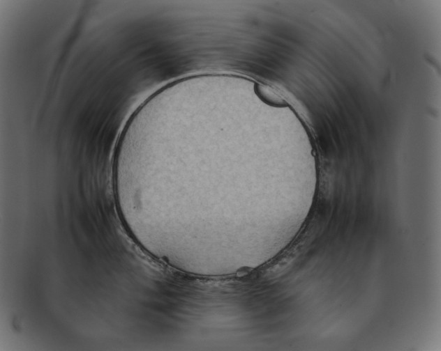 X0000092051004200710101012