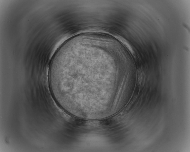 X0000092051006200710101012