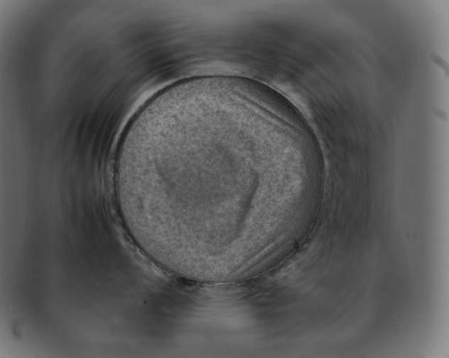 X0000092051008200710101012