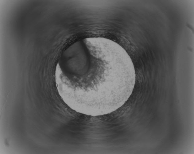 X0000092051009200710101011