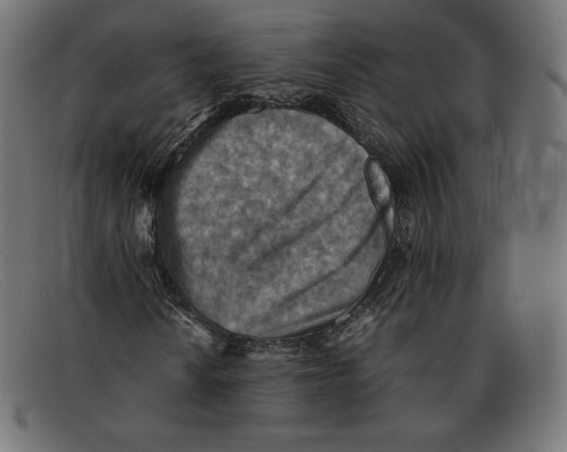 X0000092051010200710101011