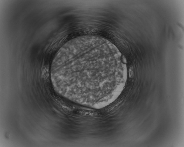 X0000092051011200710101012