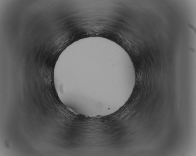 X0000092051012200710101012