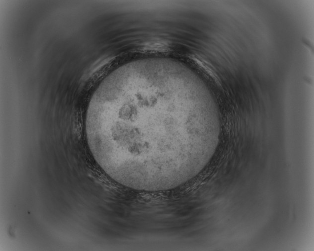 X0000092051015200710101012