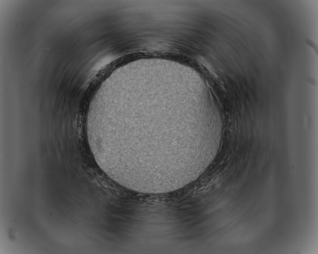 X0000092051016200710101012