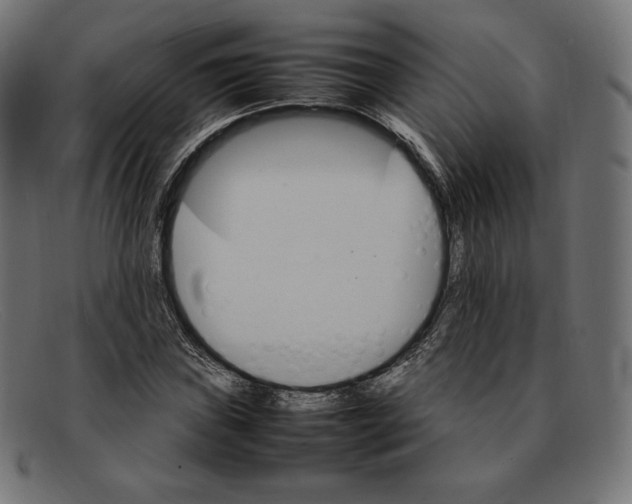 X0000092051019200710101012