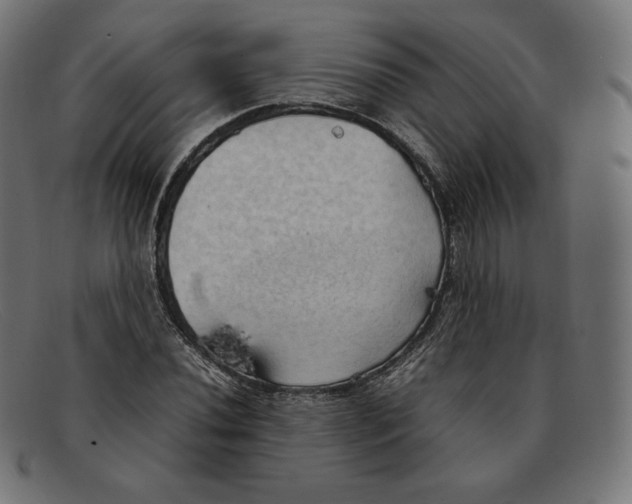 X0000092051020200710101012