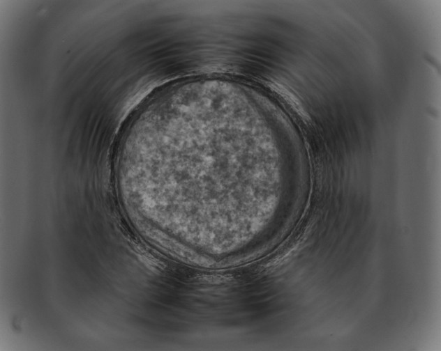 X0000092051023200710101012