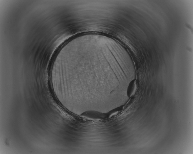 X0000092051024200710101012