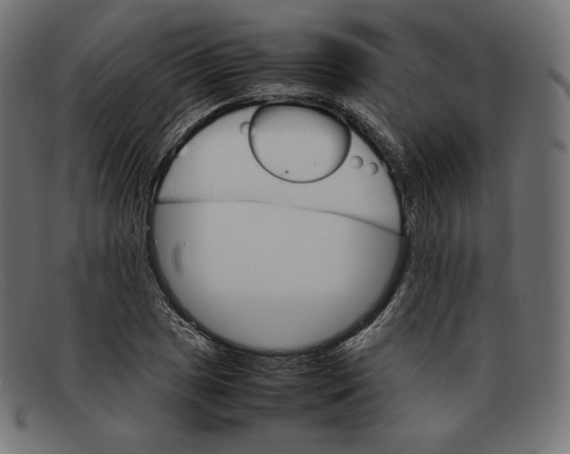 X0000092051025200710101012