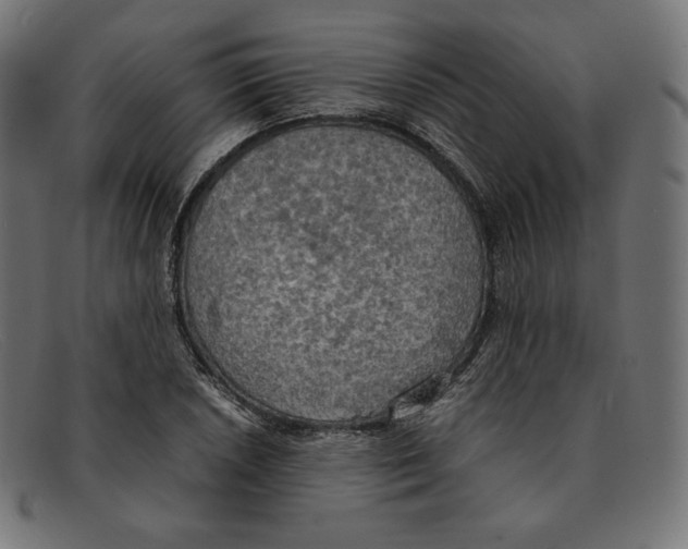 X0000092051026200710101012