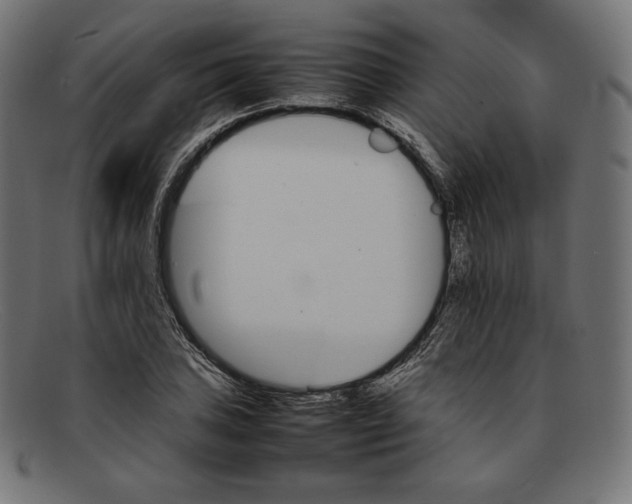 X0000092051027200710101012