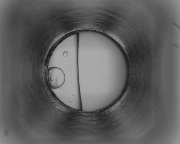 X0000092051029200710101012