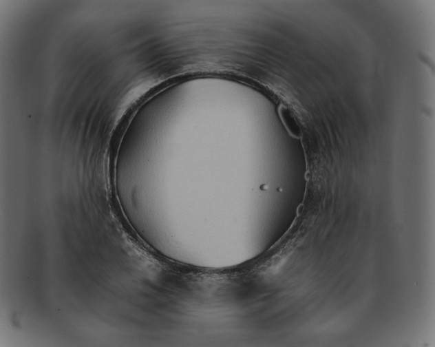 X0000092051030200710101012