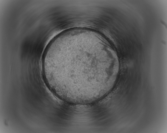 X0000092051032200710101012