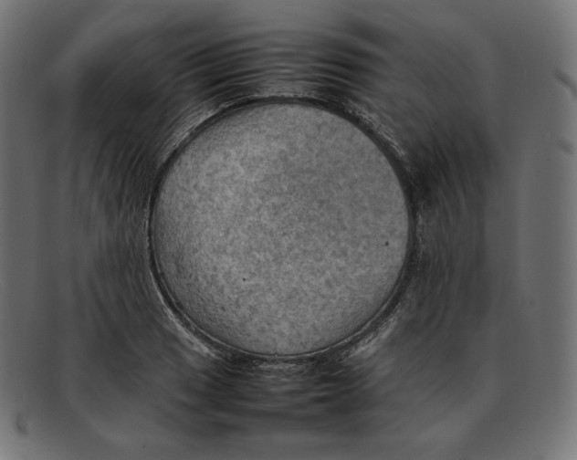 X0000092051033200710101012