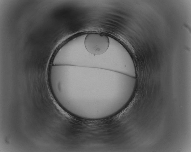 X0000092051037200710101012