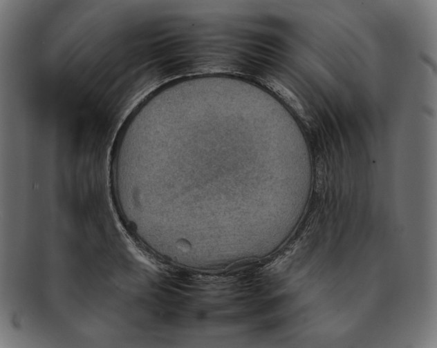 X0000092051039200710101012