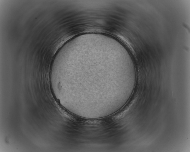 X0000092051041200710101012