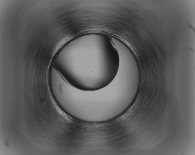 X0000092051042200710101012