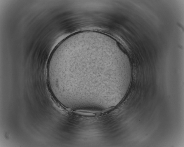 X0000092051044200710101012