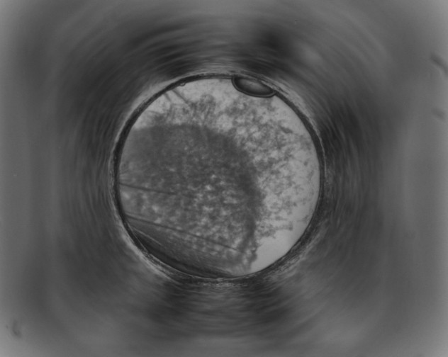 X0000092051045200710101012