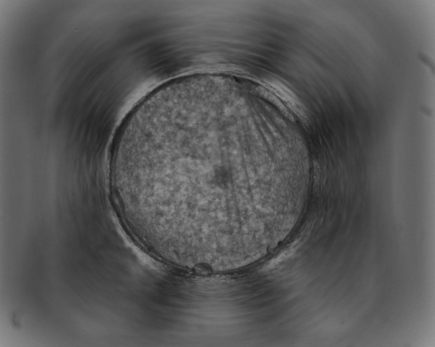 X0000092051046200710101012