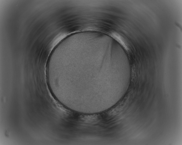 X0000092051047200710101012