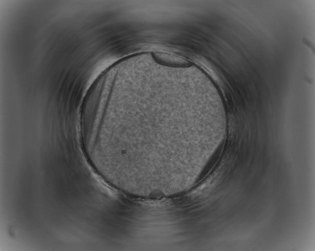 X0000092051048200710101012