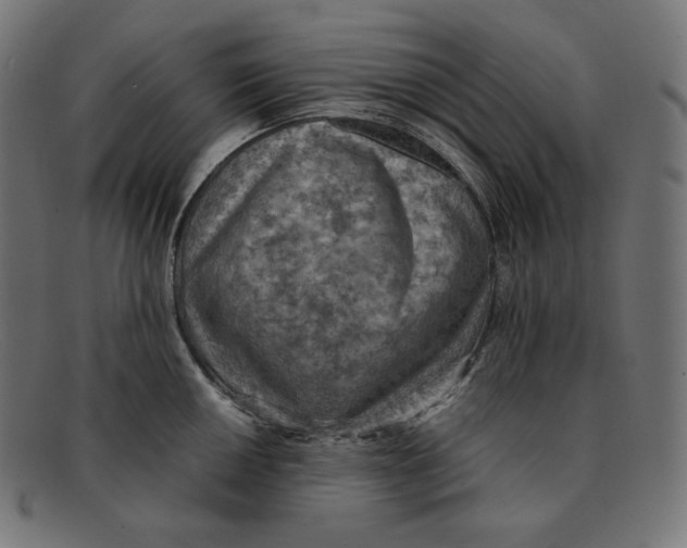 X0000092051050200710101012