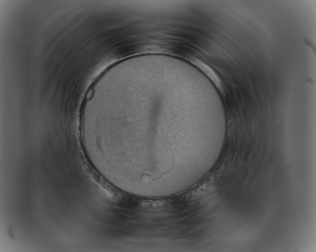 X0000092051051200710101012