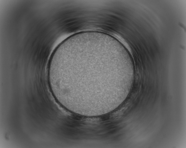 X0000092051053200710101012