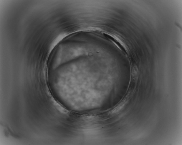 X0000092051054200710101012