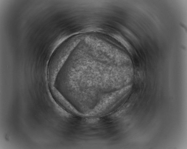 X0000092051055200710101012