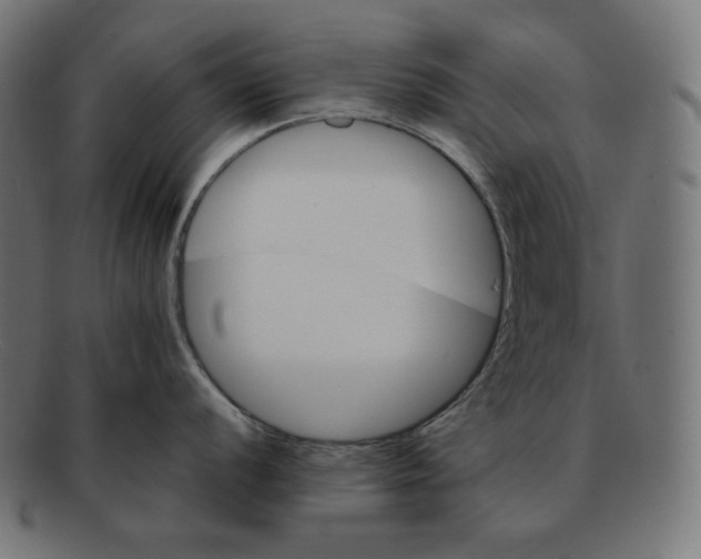 X0000092051056200710101012