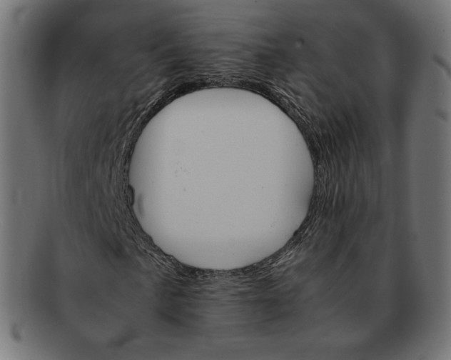 X0000092051057200710101011