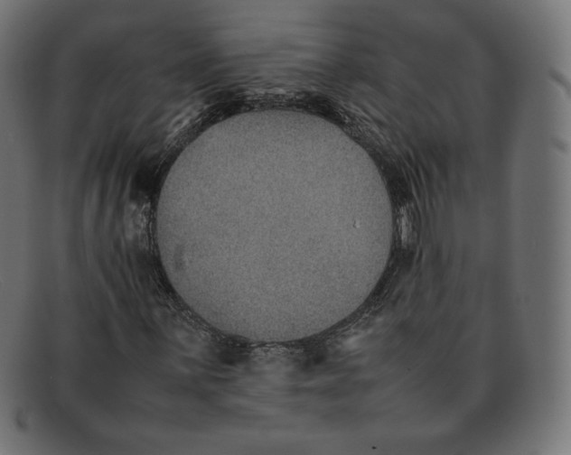 X0000092051059200710101011