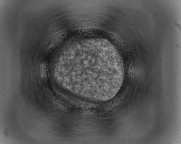 X0000092051060200710101011