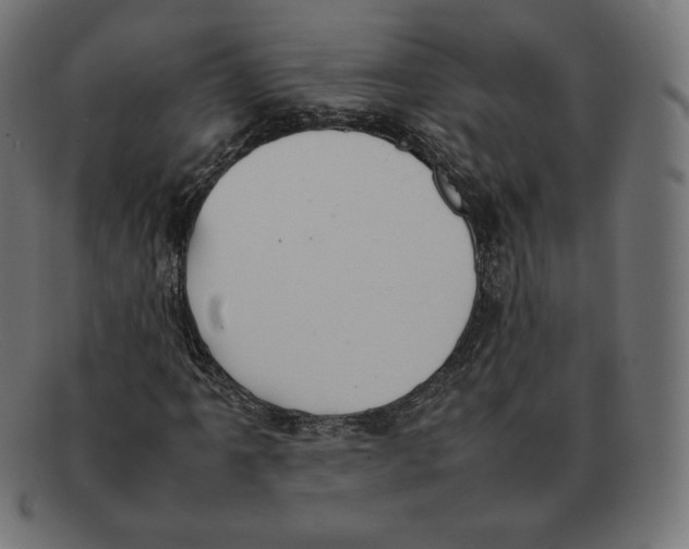 X0000092051061200710101011