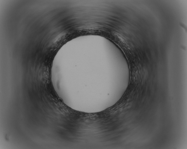 X0000092051062200710101011