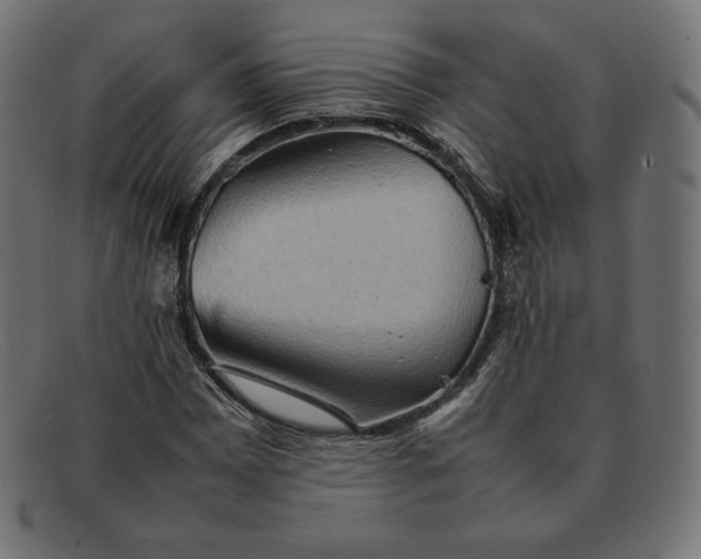 X0000092051065200710101011