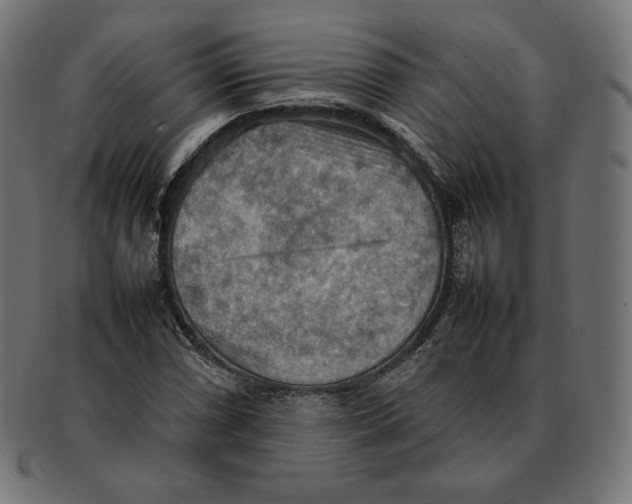 X0000092051066200710101011