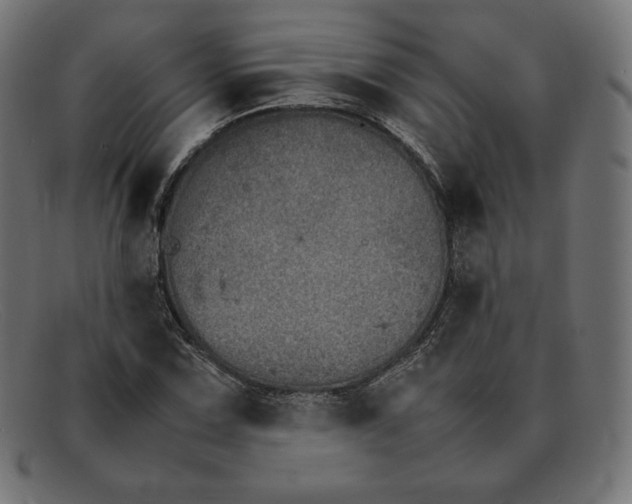 X0000092051067200710101011