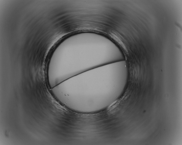 X0000092051068200710101011