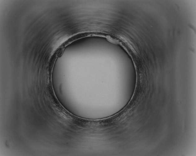 X0000092051069200710101011