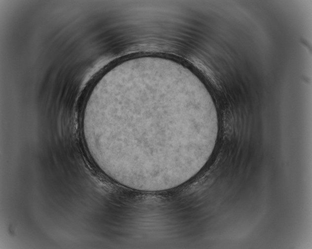 X0000092051070200710101011