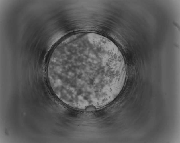 X0000092051071200710101011