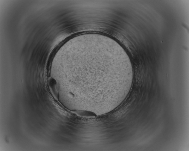 X0000092051072200710101011