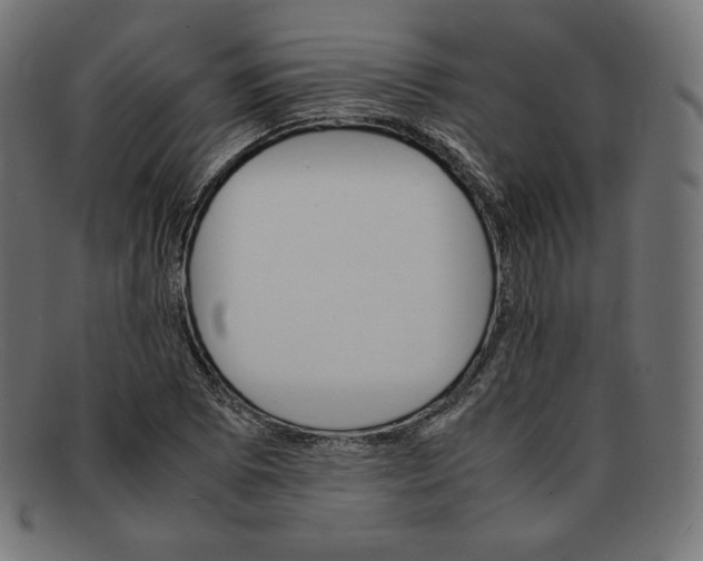 X0000092051073200710101011